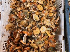 -双喜农庄·菌香园(安居家园店)