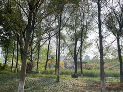 -洋湖国家湿地公园