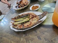 -岩保农家乐