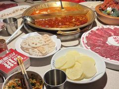 -小龙坎火锅(全球旗舰店)