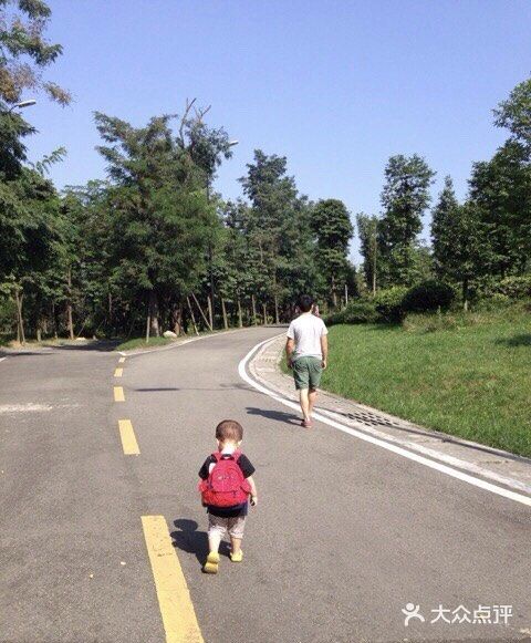 成都游攻略之凤凰山公园