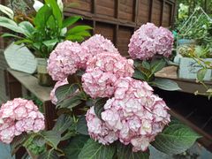 -共青国家森林公园-售票处