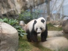 -香港海洋公园