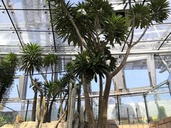 -北京植物园-展览温室