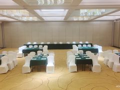 -河源万绿湖美思威尔顿酒店