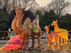 -洛阳市隋唐城遗址植物园