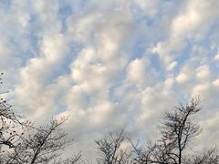-东湖磨山景区