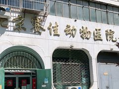 -北京赛佳动物医院