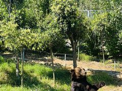 -南京金牛湖风景区