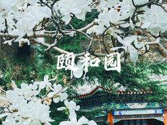 -颐和园