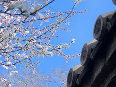 -三里河公园