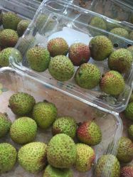 点击看大图 -久匠·野生眉半永久纹眉