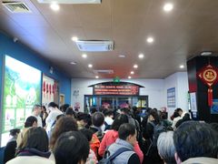 -横琴客运码头