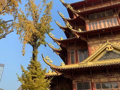 -龙潭水乡