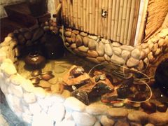 iphone_upload_pic-馬蘭花開(车站大道店)