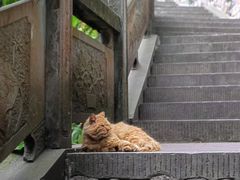 -乐山大佛风景名胜区乌尤寺南门-售票点