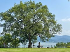 -东钱湖旅游度假区