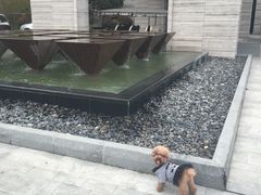 -上海崇明金茂凯悦酒店