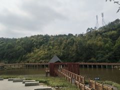 -神光山国家森林公园