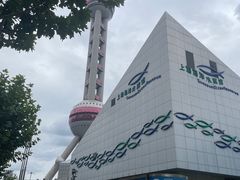 -上海海洋水族馆