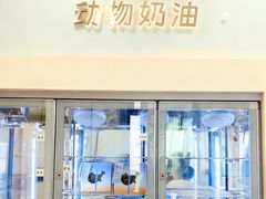-山与蓝·轻糖鲜果蛋糕(勒泰店)