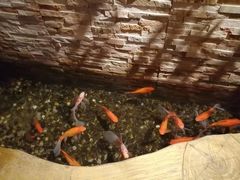 -鸥迪足道(老虎滩店)