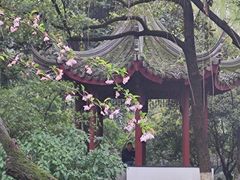 -墅园