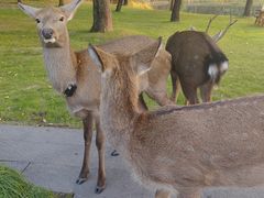 -养云安缦吧THE BAR