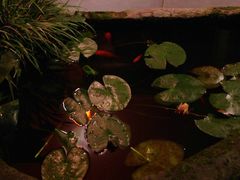 -亦缘居私家别院