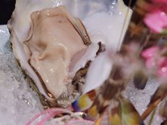 -新花城蟹粉馆(乌鲁木齐店)