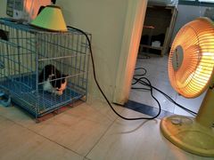 -佳雯宠物医院(四明中路分院)