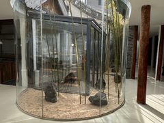 -曲廊院(东四十一条店)