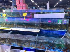 -渔人湾码头海鲜市场负二楼