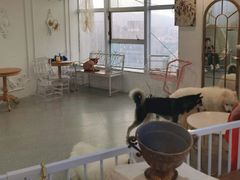 大堂-共舞时光猫咖·狗咖(新街口店)