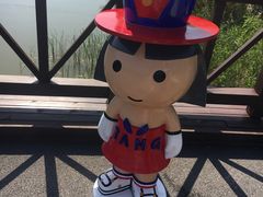 -黄海国家森林公园