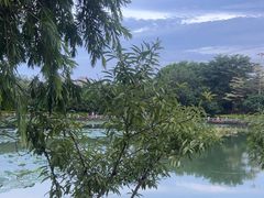 -东湖公园