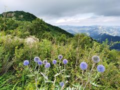 -白草畔自然风景区