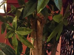 -泰融玺·泰式按摩SPA(包河万达店)