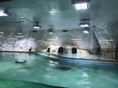 -北戴河圣蓝海洋公园