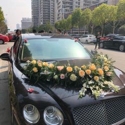 -蚂蚁婚车