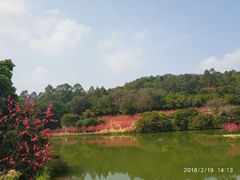 -南国桃园旅游度假区