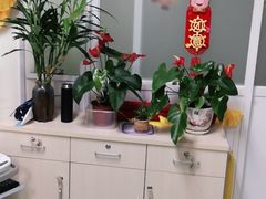 -上海永慈康复医院