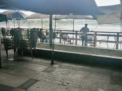 -平安桥张氏肥肠粉