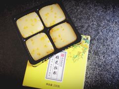 -沈大成(城隍庙店)
