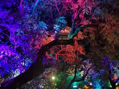 -爵士花园音乐酒吧餐厅