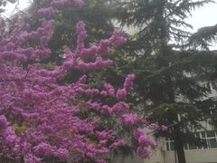 -西安石油大学(雁塔校区)