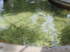 -大理地热国