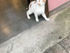 -大韩民国临时政府旧址