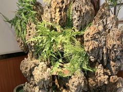 -成老灶火锅鸡(平山店)