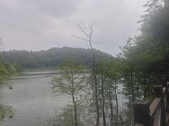 -天目湖山水园